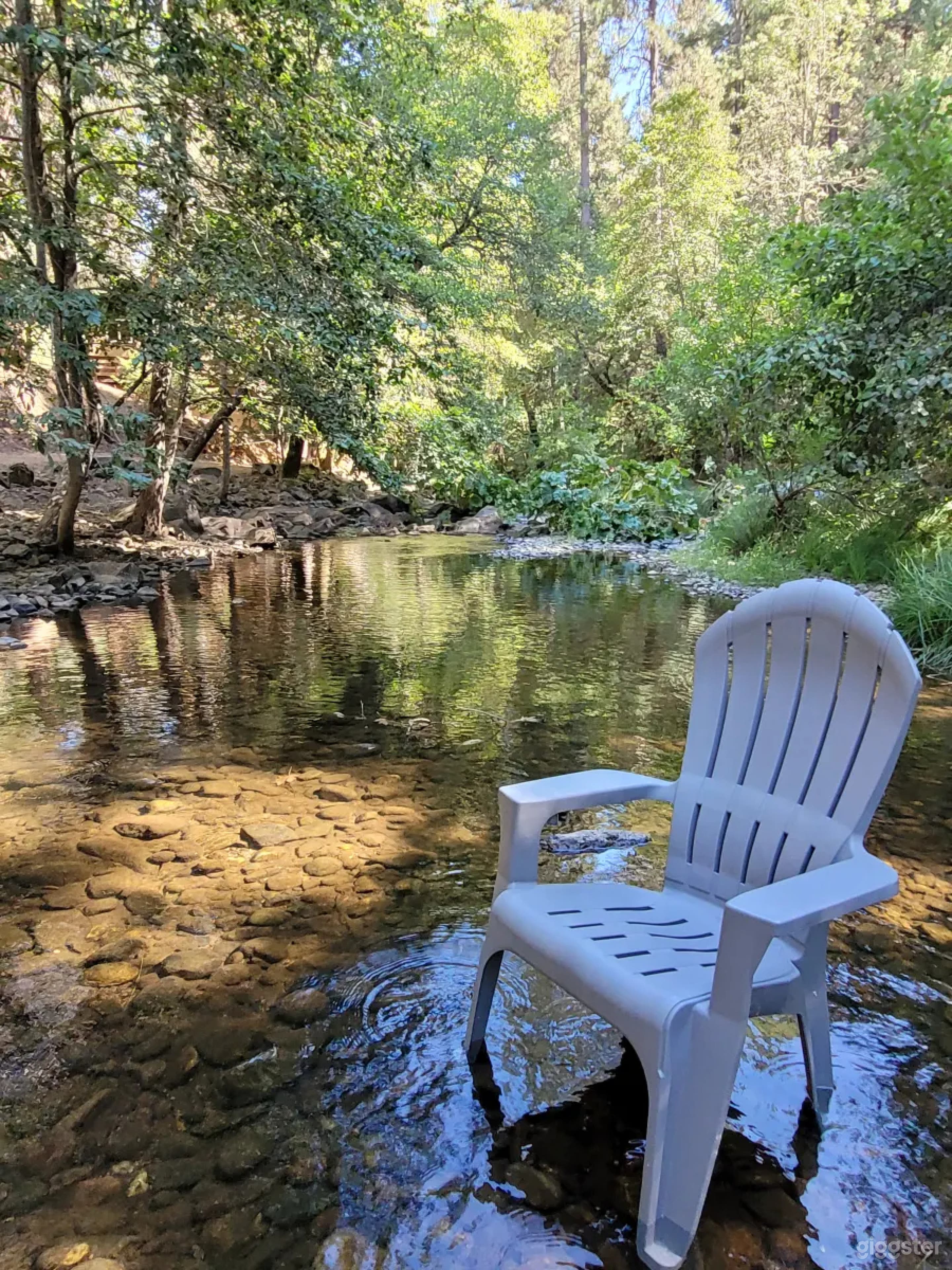 Serene View Waterfront Camp in West Point Photo 2
