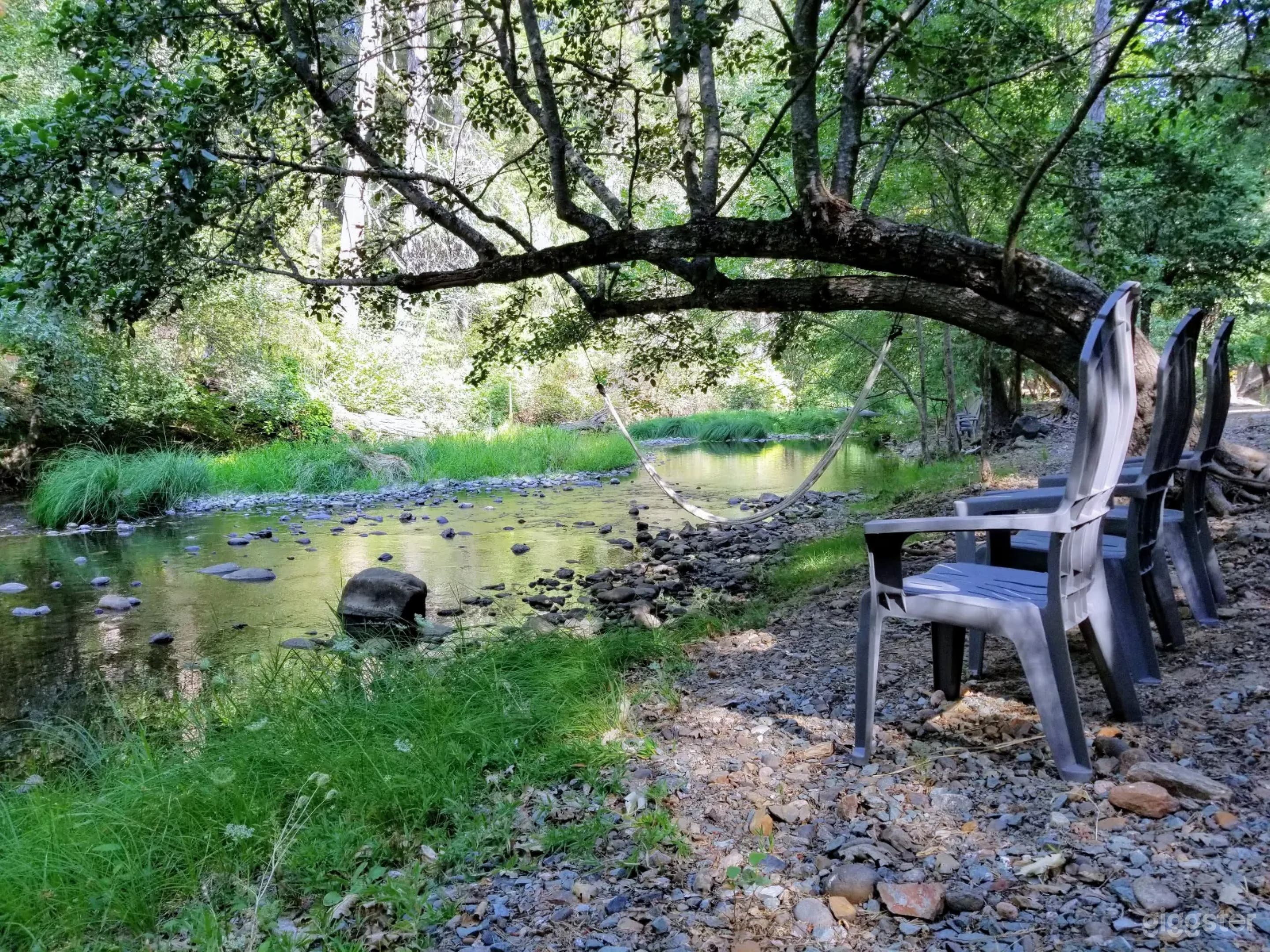 Serene View Waterfront Camp in West Point Photo 4