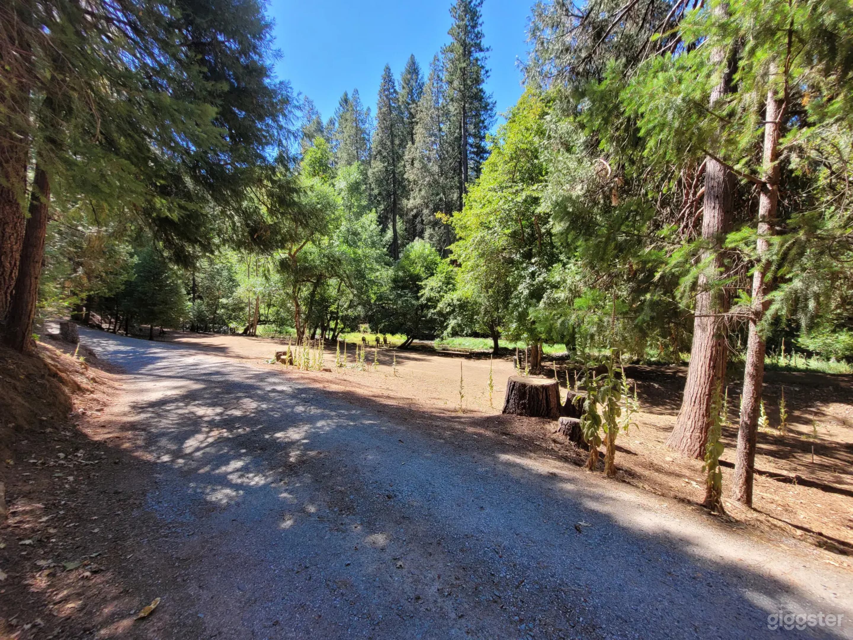 Serene View Waterfront Camp in West Point Photo 3