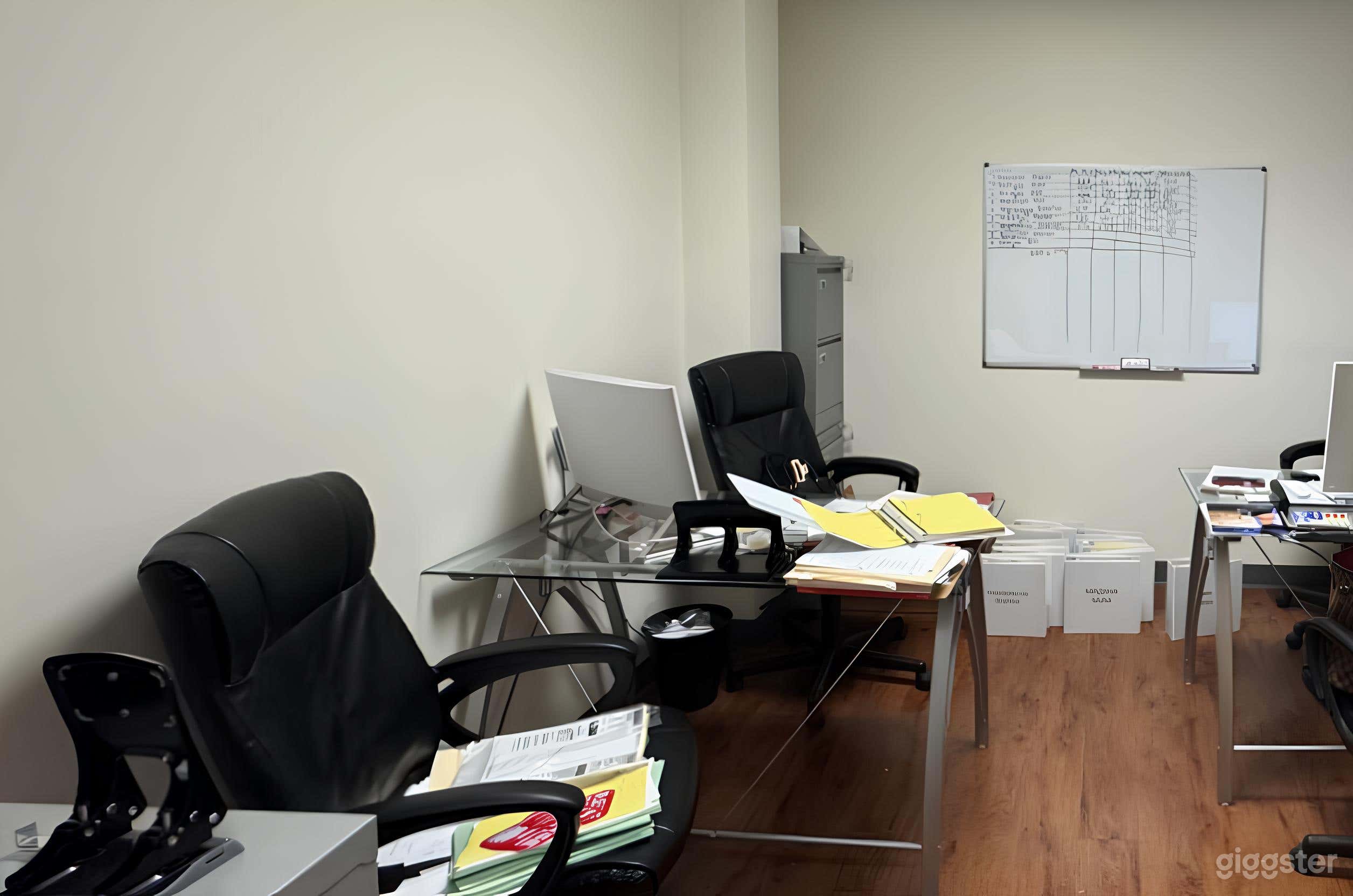 Beautiful Doctor's Office for Filming Photo 4