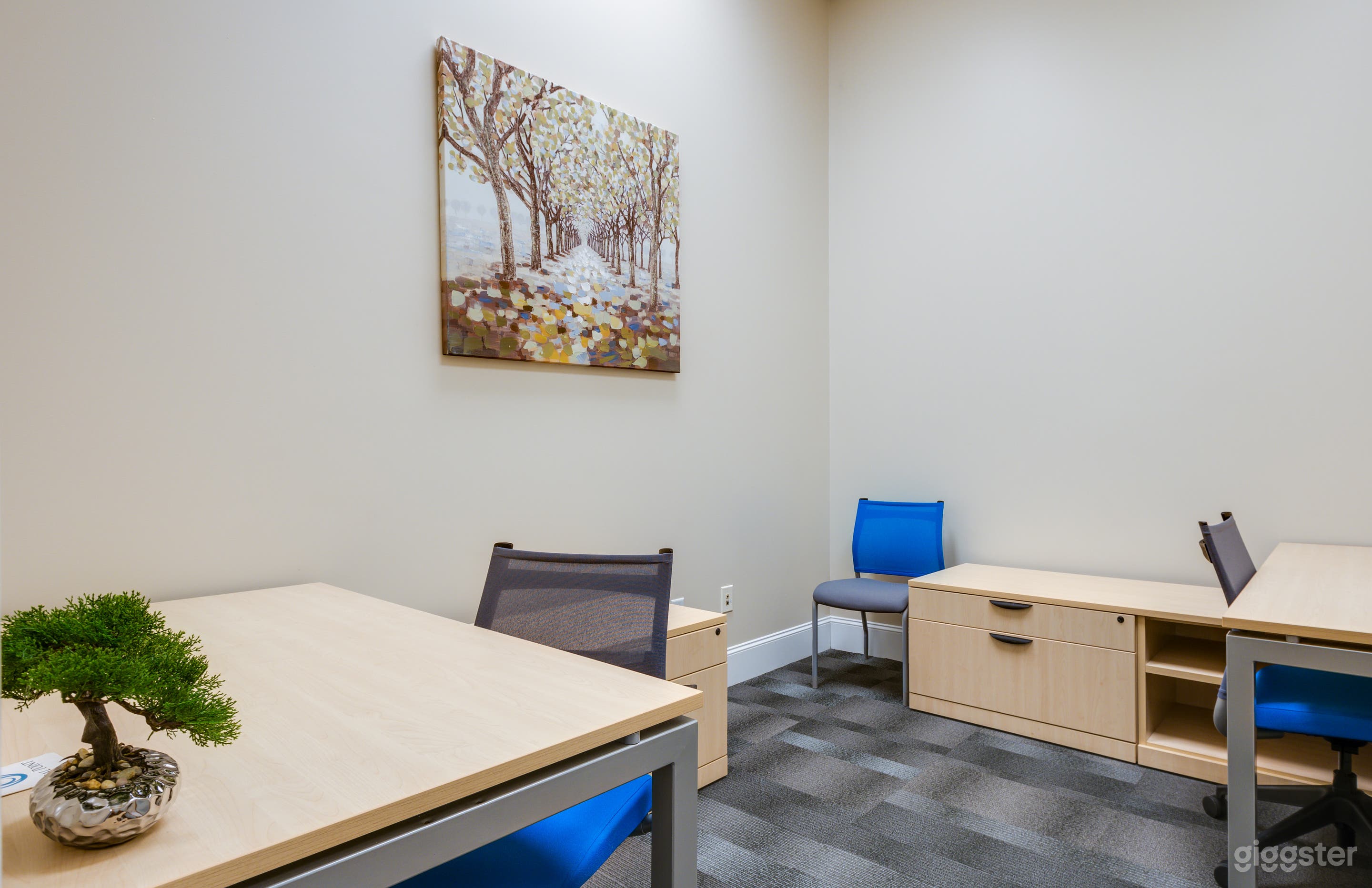 Private Office &amp; Event Space in Downtown Asheville Photo 4