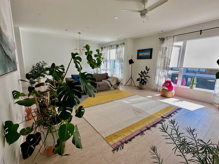  Natural Light Minimalist House 