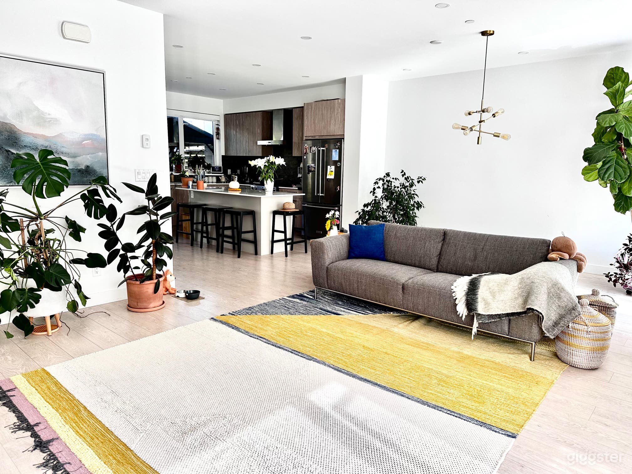 Natural Light Minimalist House Photo 3