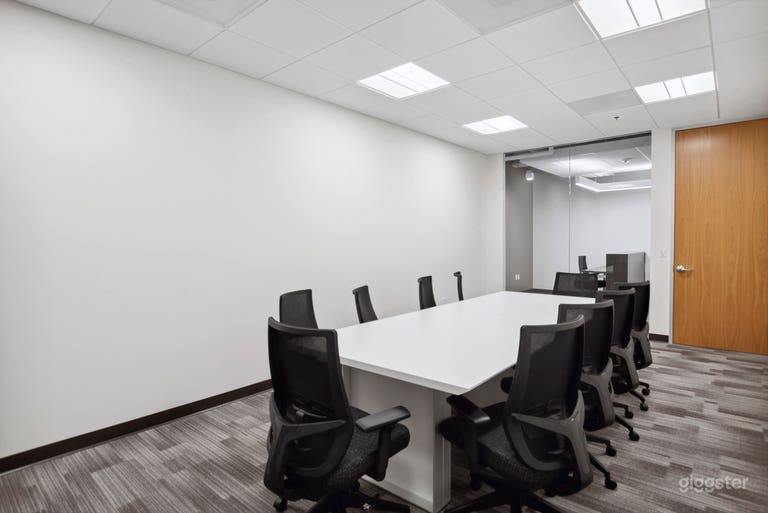  Sleek Conference Room for 10 