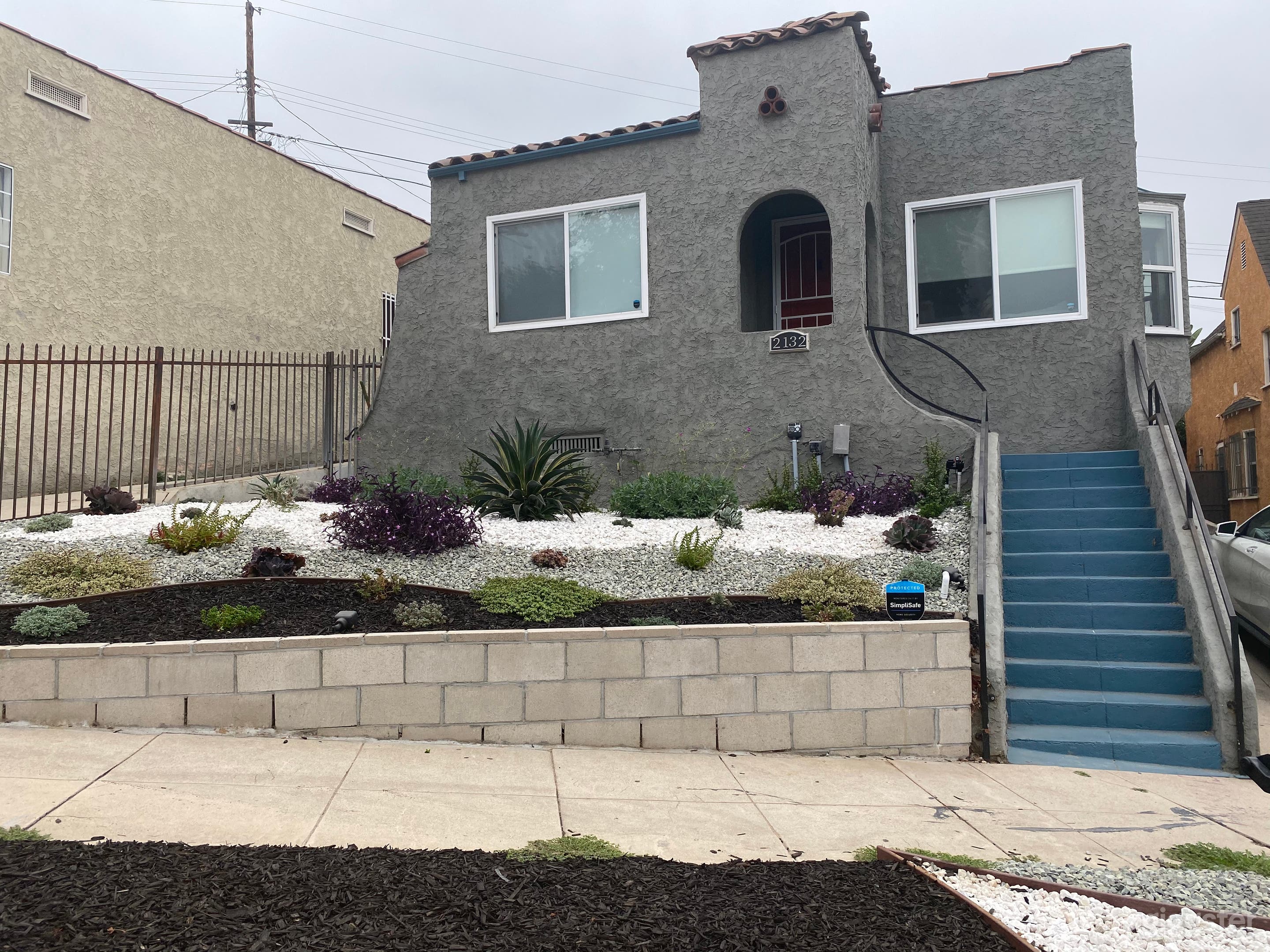 Jade rocks and Succulent plant front yard 
