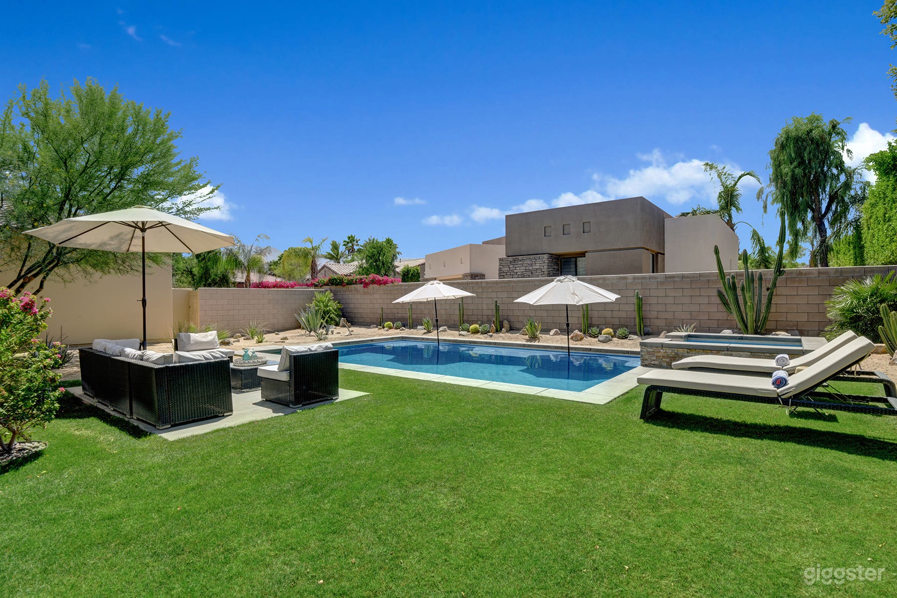Desert Oasis with New Pool and Total Privacy Photo 4