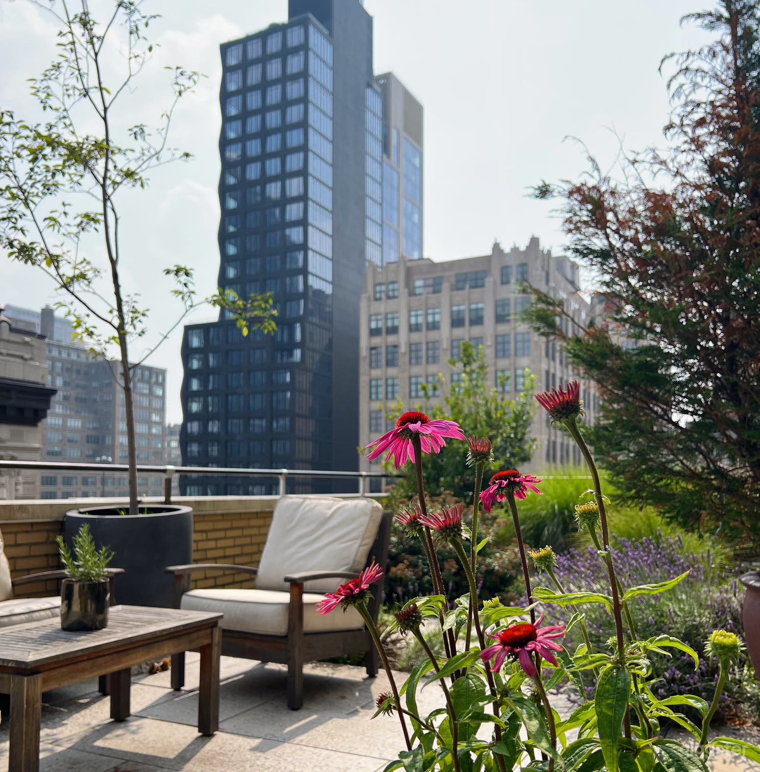 SoHo Rooftop Garden w/ views of Manhattan Photo 2