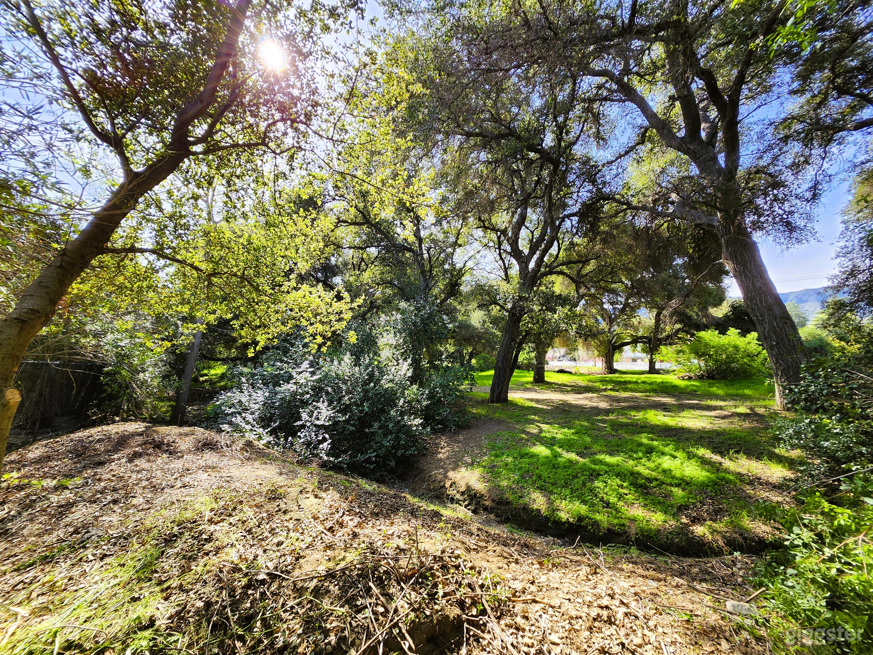 Enchanted Mini Forest with Ranch house and Cottage Photo 3