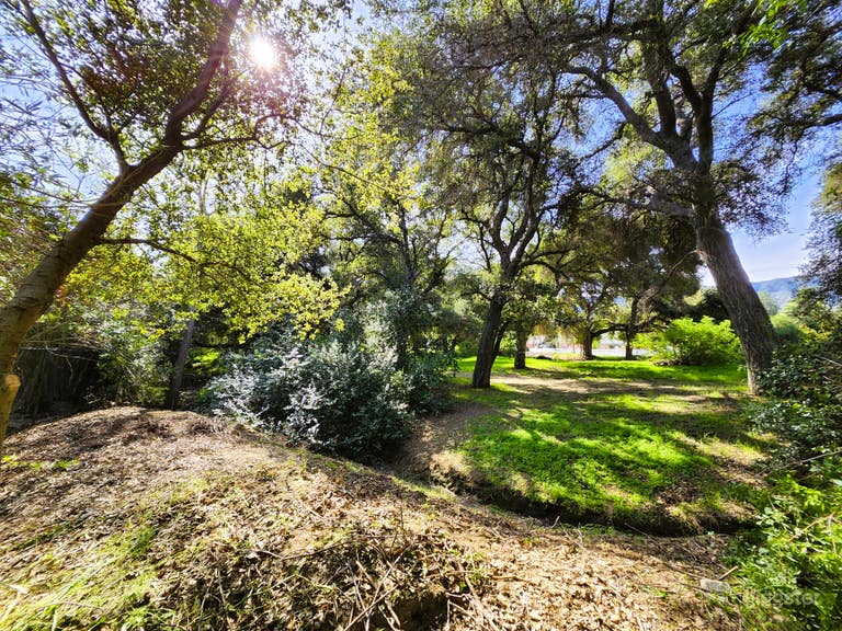  Enchanted Mini Forest with Ranch house and Cottage 