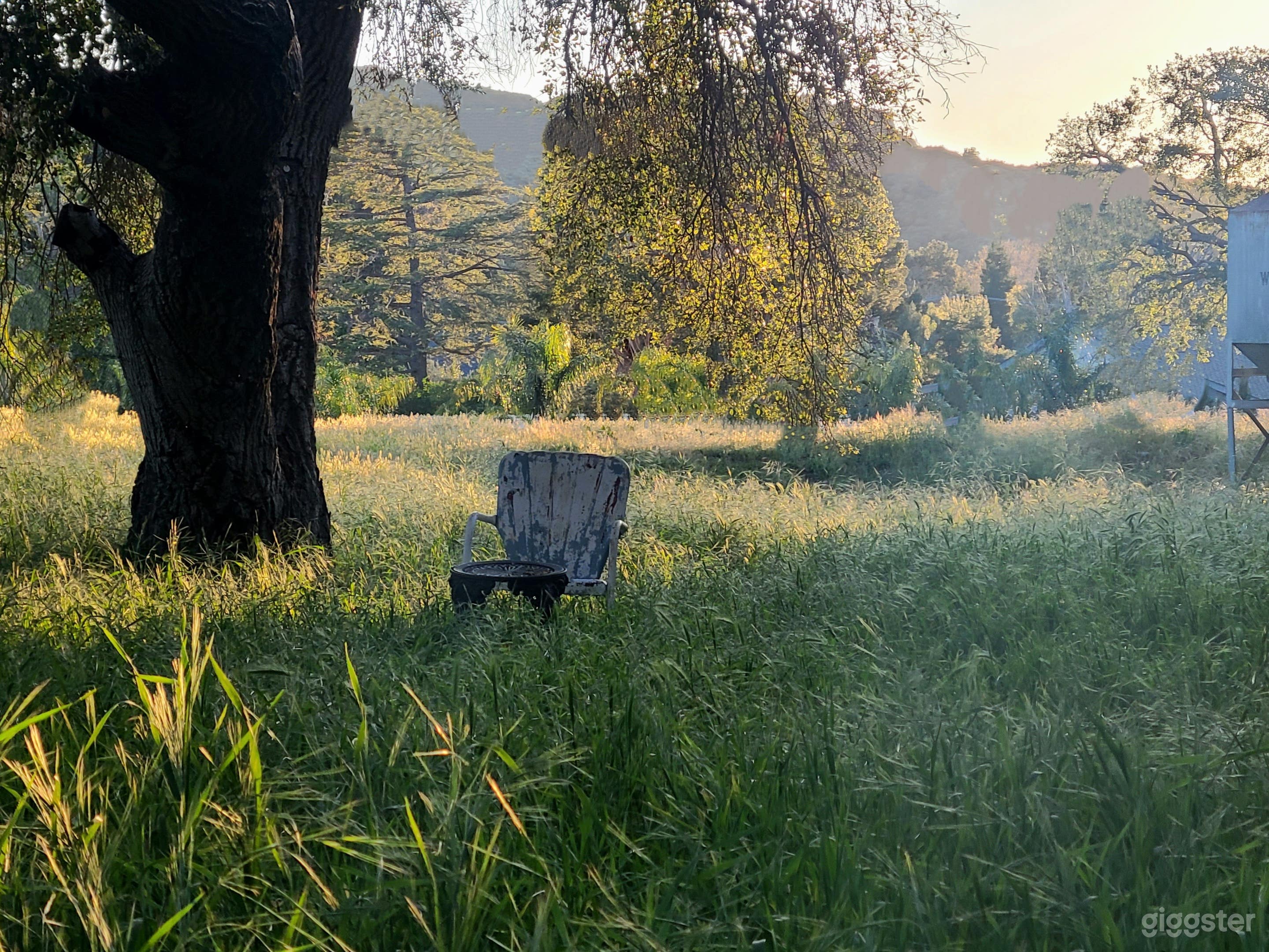 Enchanted Mini Forest with Ranch house and Cottage Photo 3