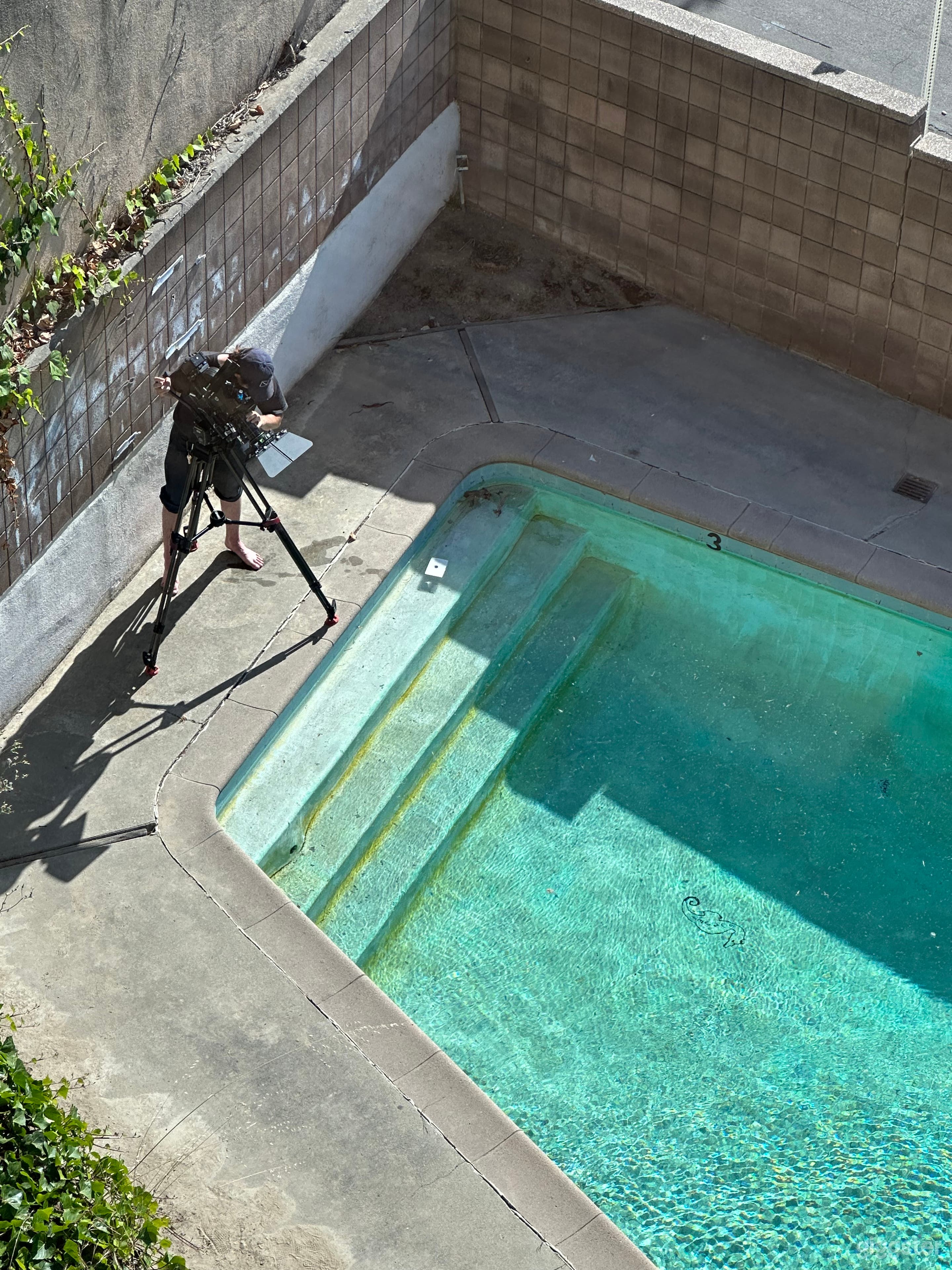 Sunset Seahorse: perfect retro chic 1960s poolside Photo 4