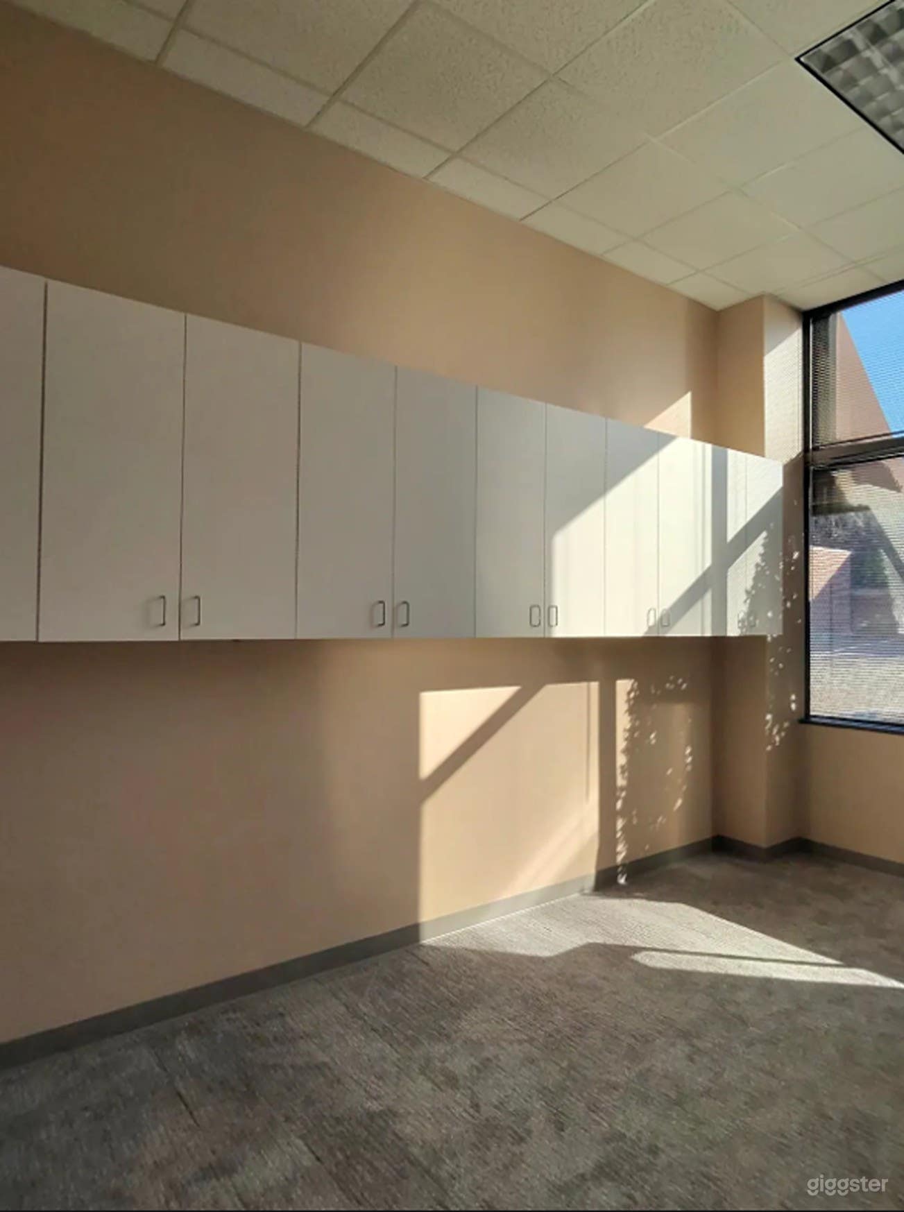 Spacious 208 sq ft Office  Photo 1