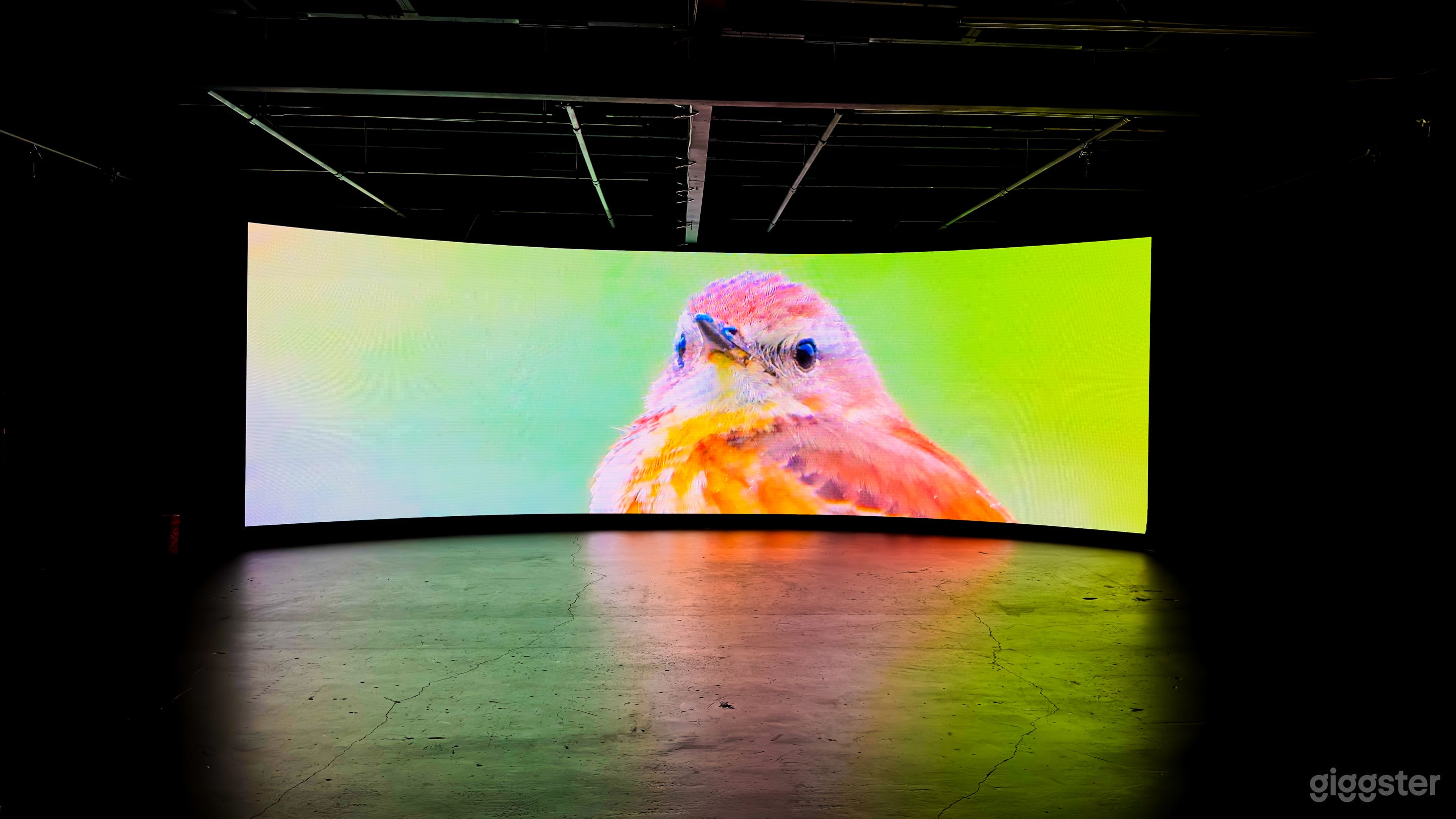   One-of-a-Kind LED Virtual Wall Studio  Photo 3