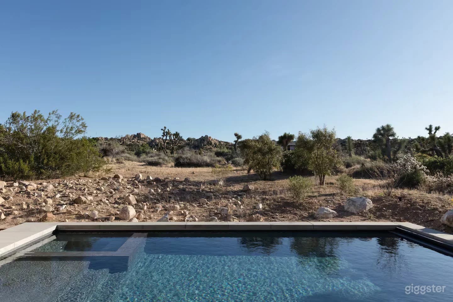 Ren House | Outdoor Pool Photo 4