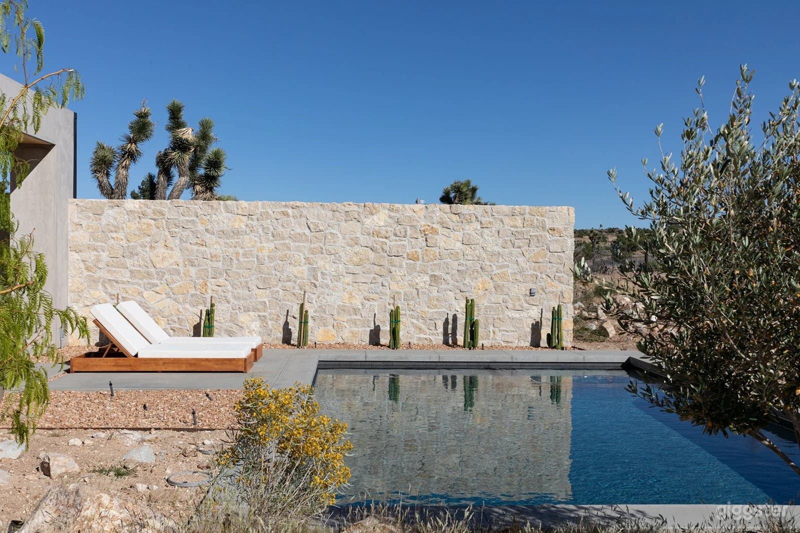 Ren House | Outdoor Pool Photo 1