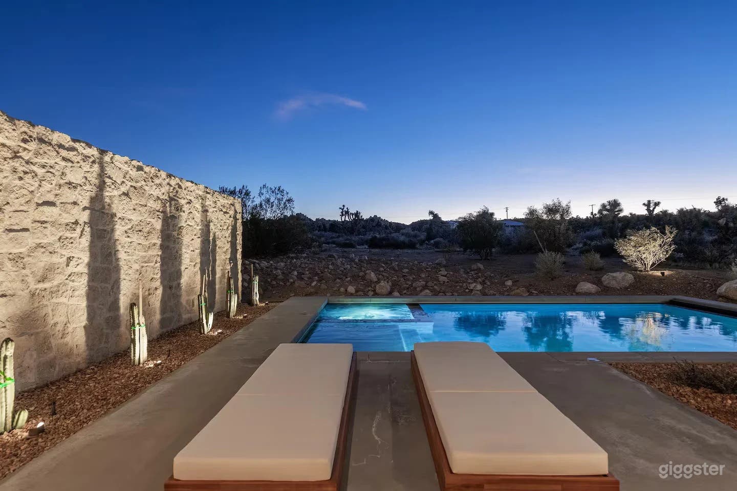 Ren House | Outdoor Pool Photo 3