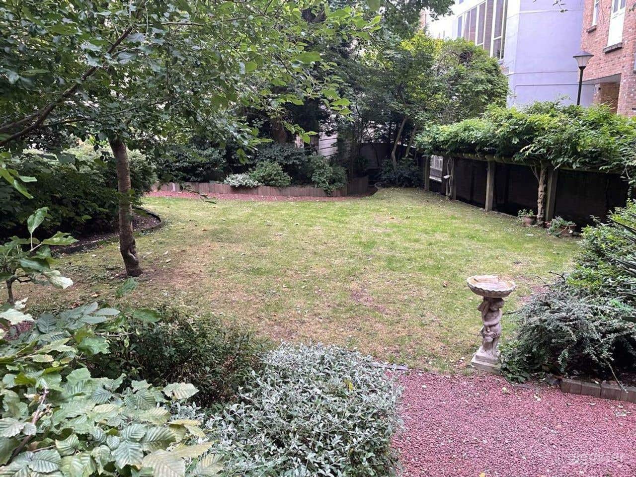 The Garden Photo 3