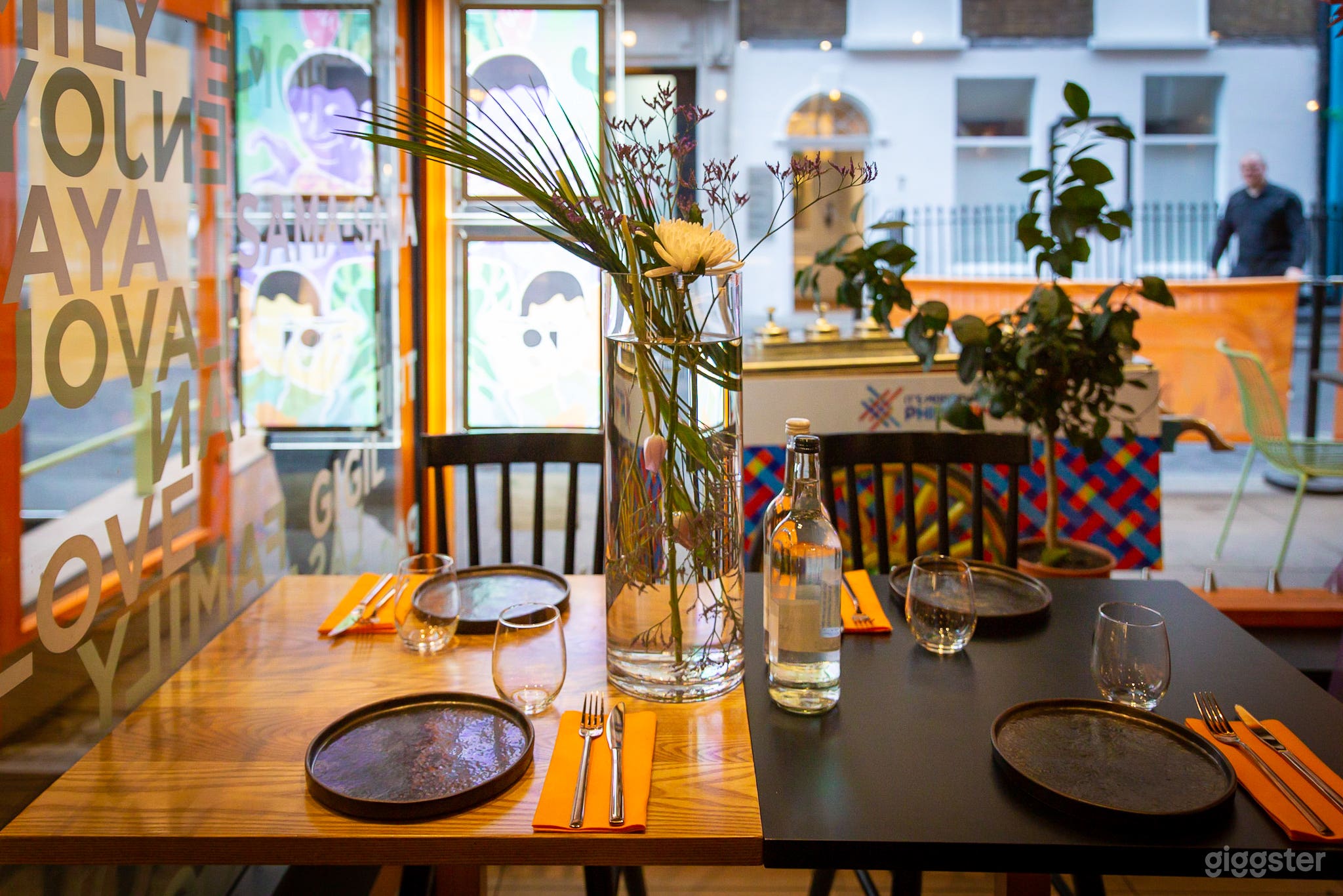 Kasa and Kin Photo 3