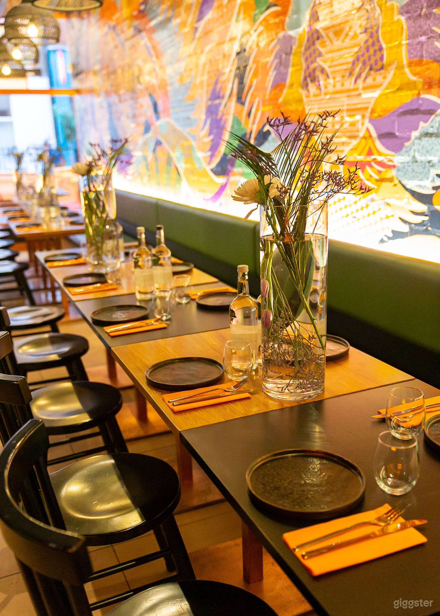 Kasa and Kin Photo 2