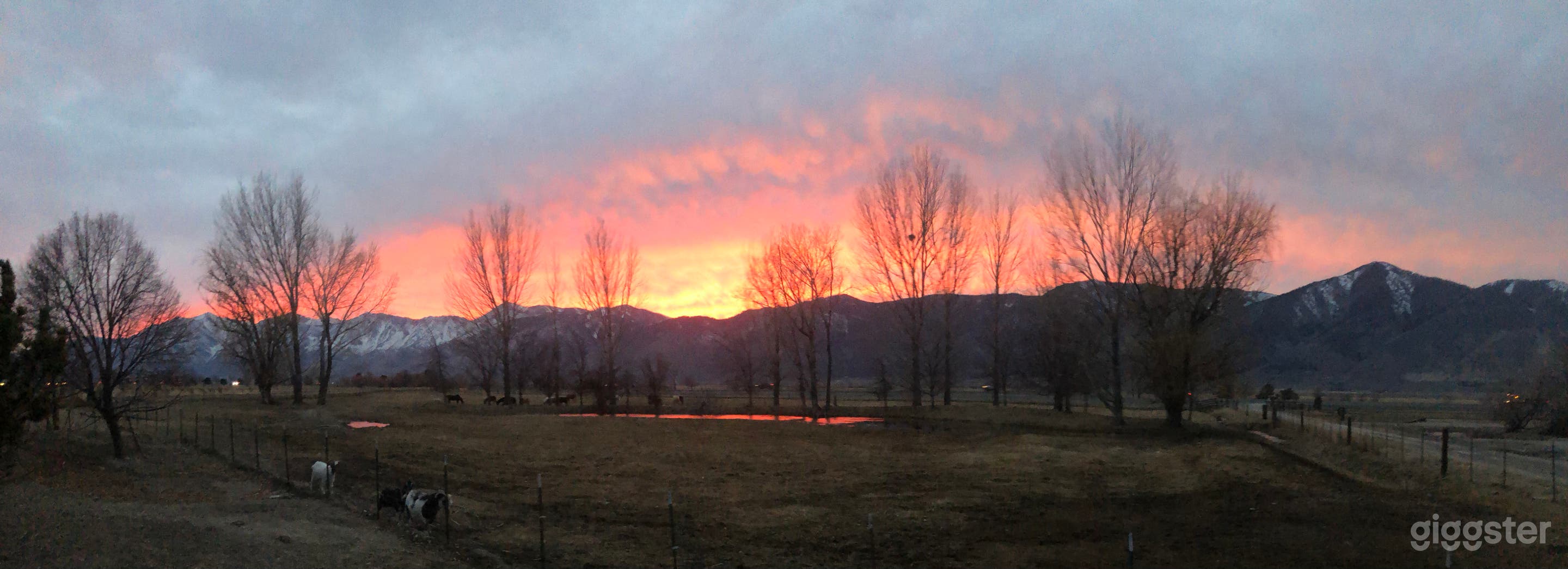 Sierra Mountain Ranch  Photo 2