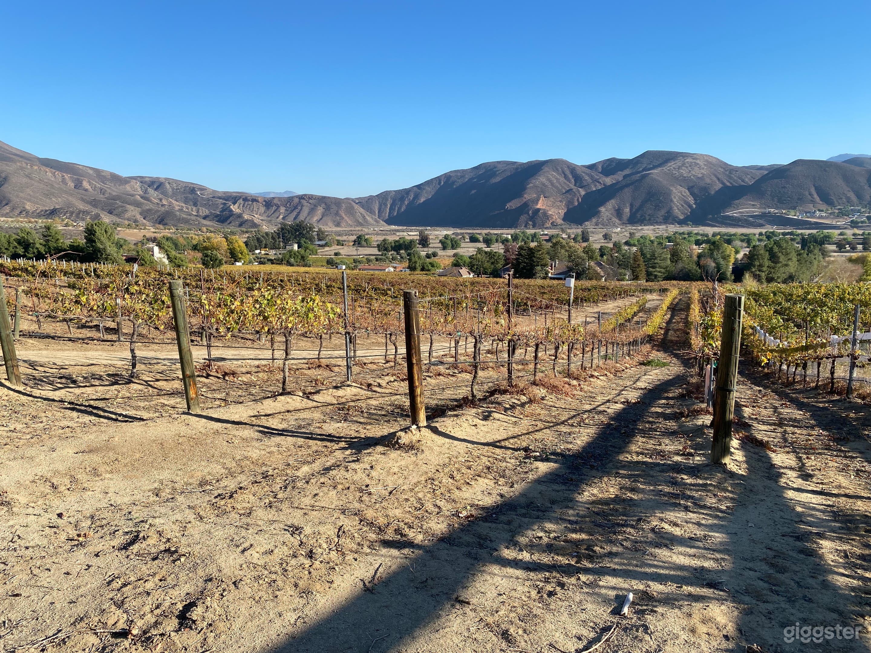 Temecula Valley Vineyard Photo 1
