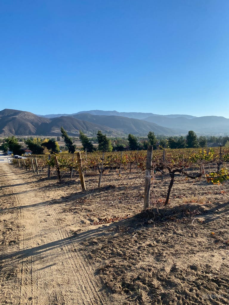  Temecula Valley Vineyard 
