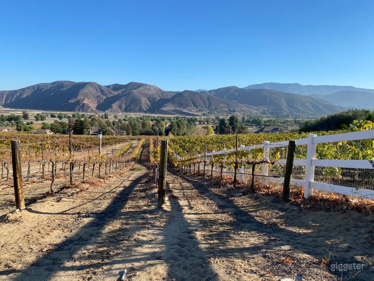 Temecula Valley Vineyard 