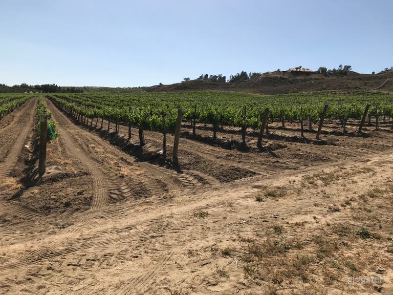  Temecula Valley Vineyard 