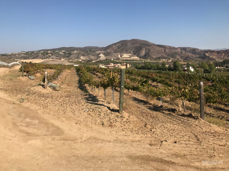 Temecula Valley Vineyard 