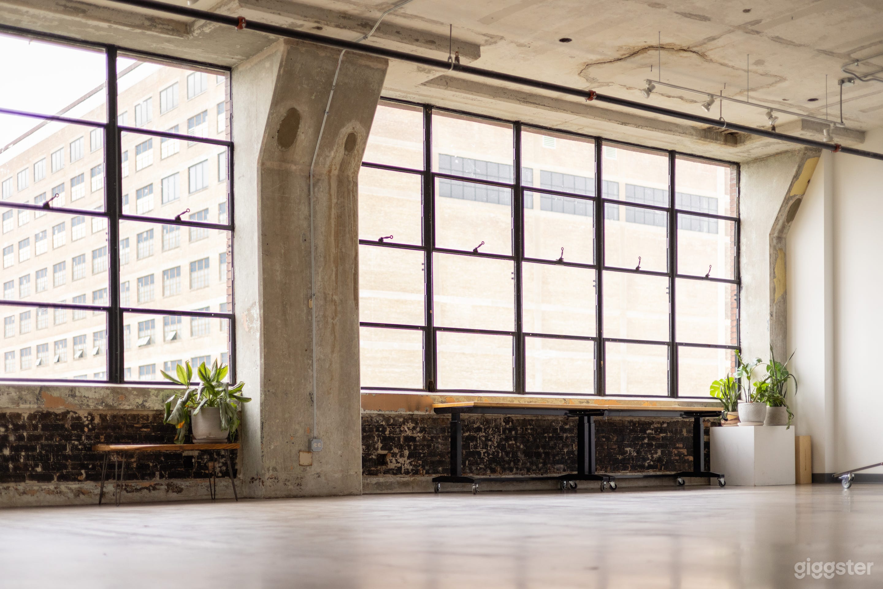 Natural Light Production Space Photo 3