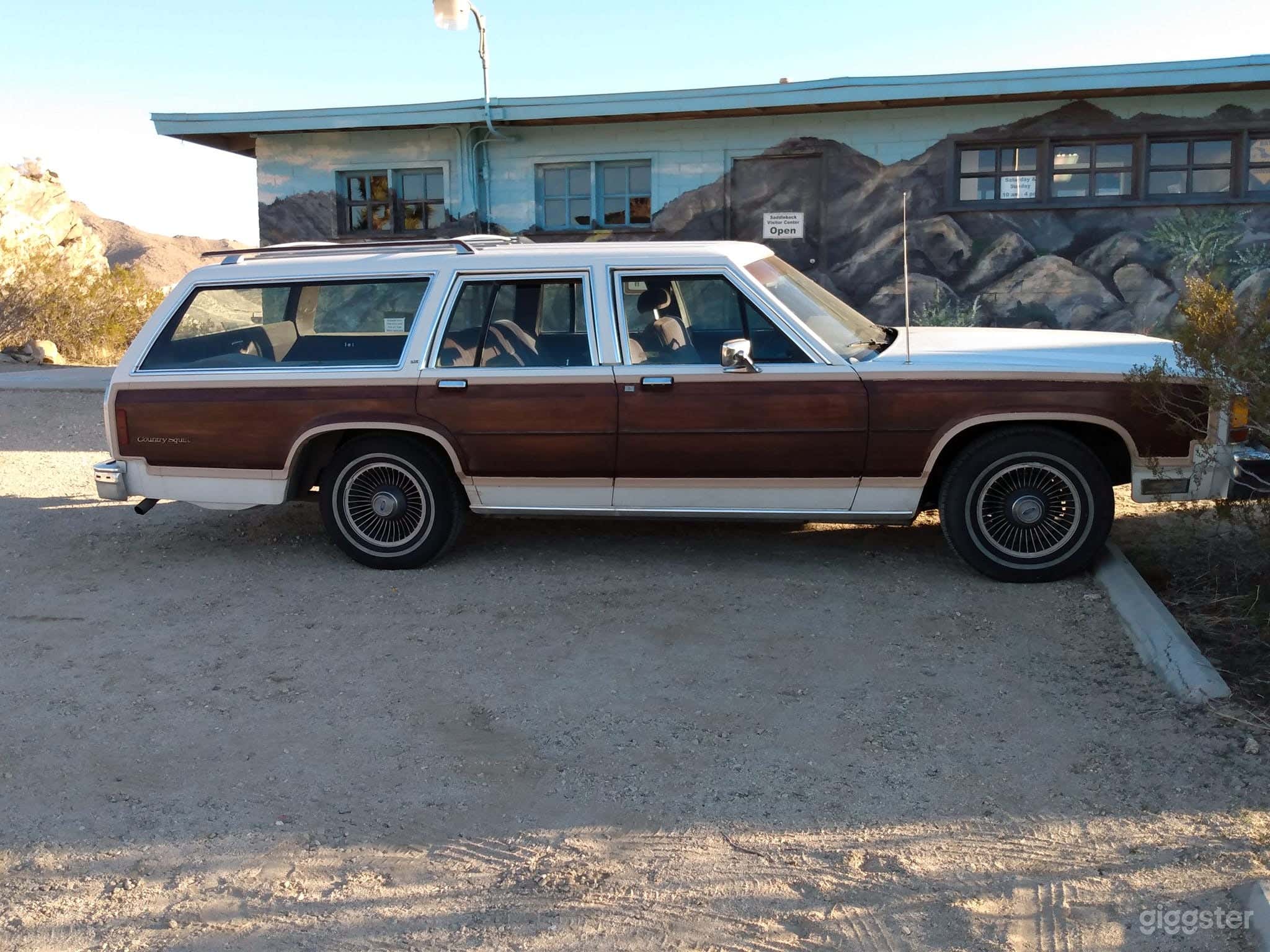 1979-1986 Ford Station Wagon w Faux wood Photo 1
