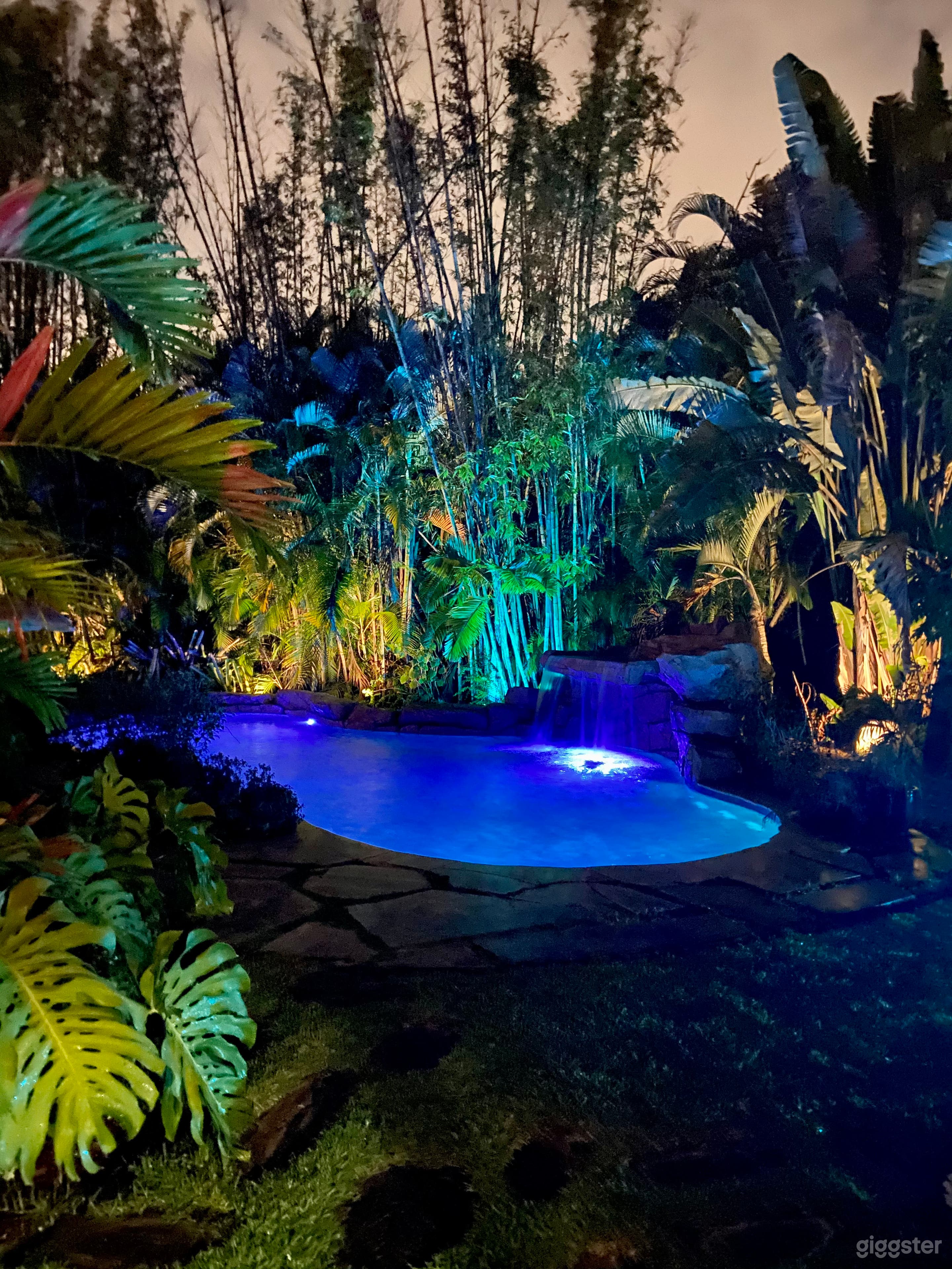 Casa Tropicale - Unique Tropical Oasis Photo 3