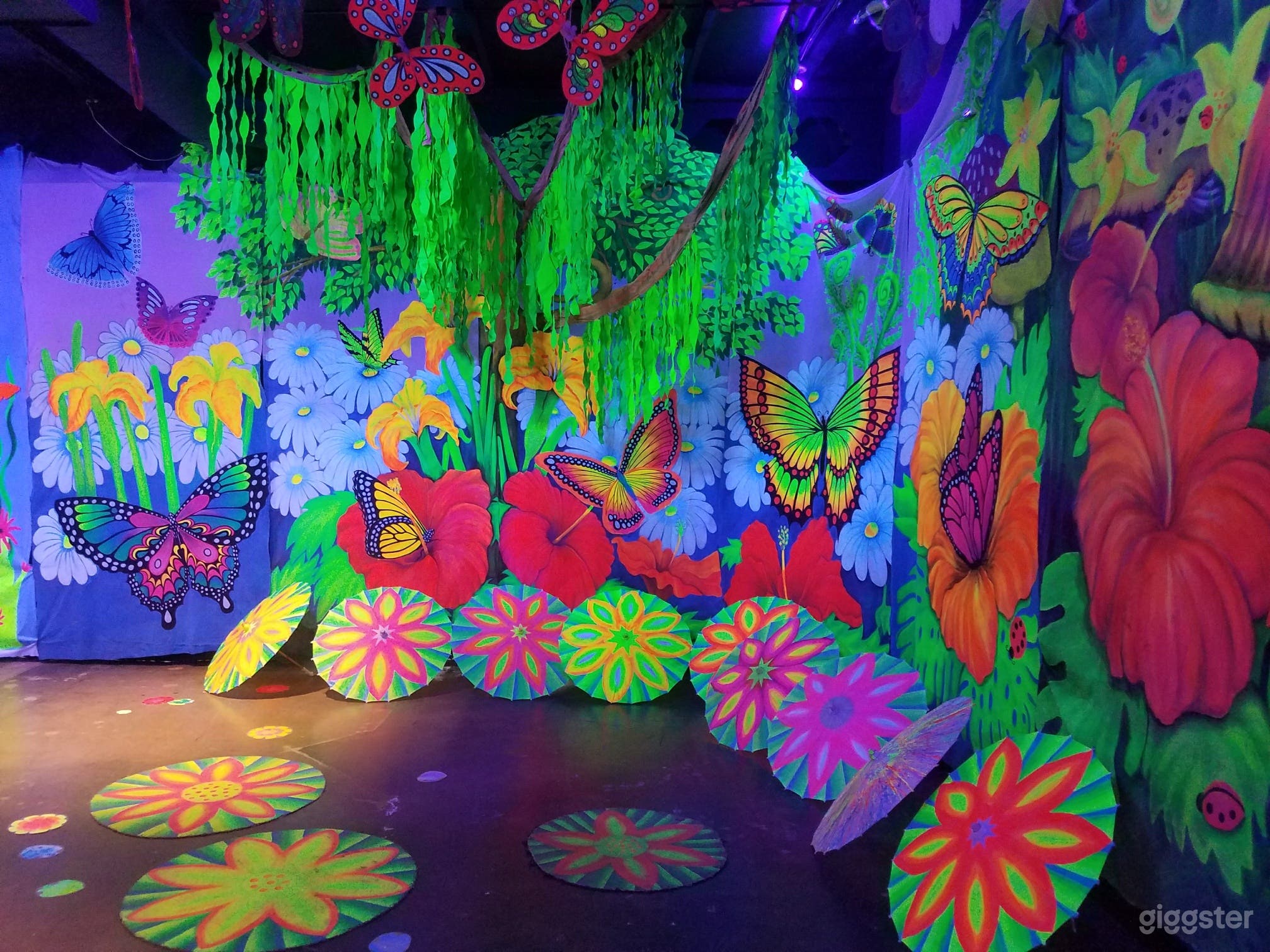 Great for Events, Parties, Fundraisers, Yoga, Music, Dance