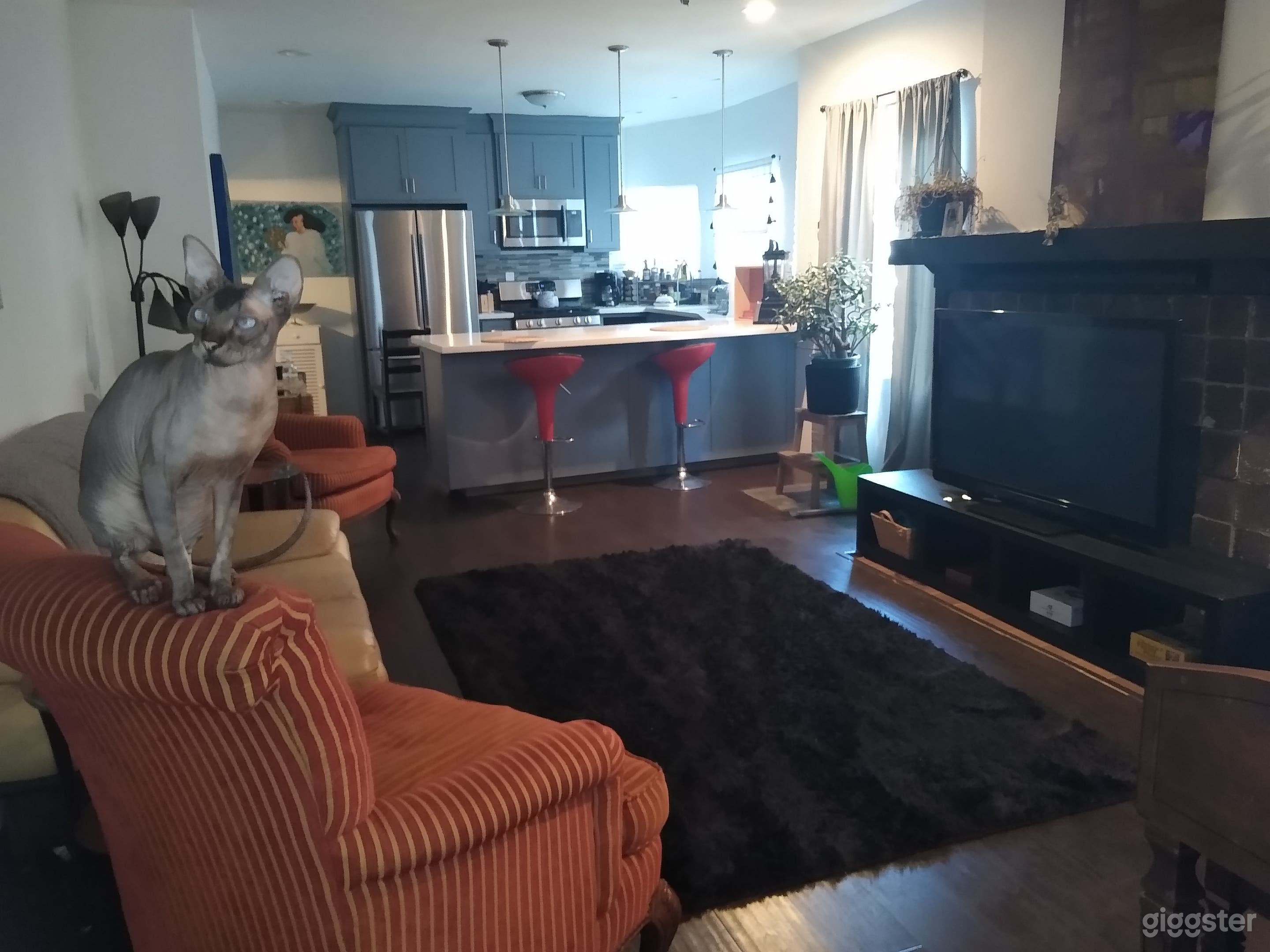 Show line Sphinx Kitten, not included.
