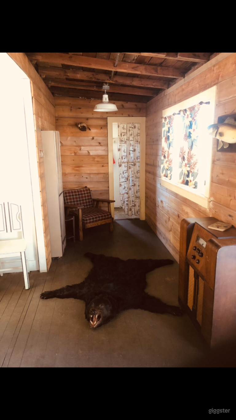  Sitting area to right of front door has 1940 ranchero seat, mounted, stuffed weasel, mounted walleye fish, closet and wall heater. Open ceiling and cedar paneled walls. Wood floor. authentic bear skin rug . 