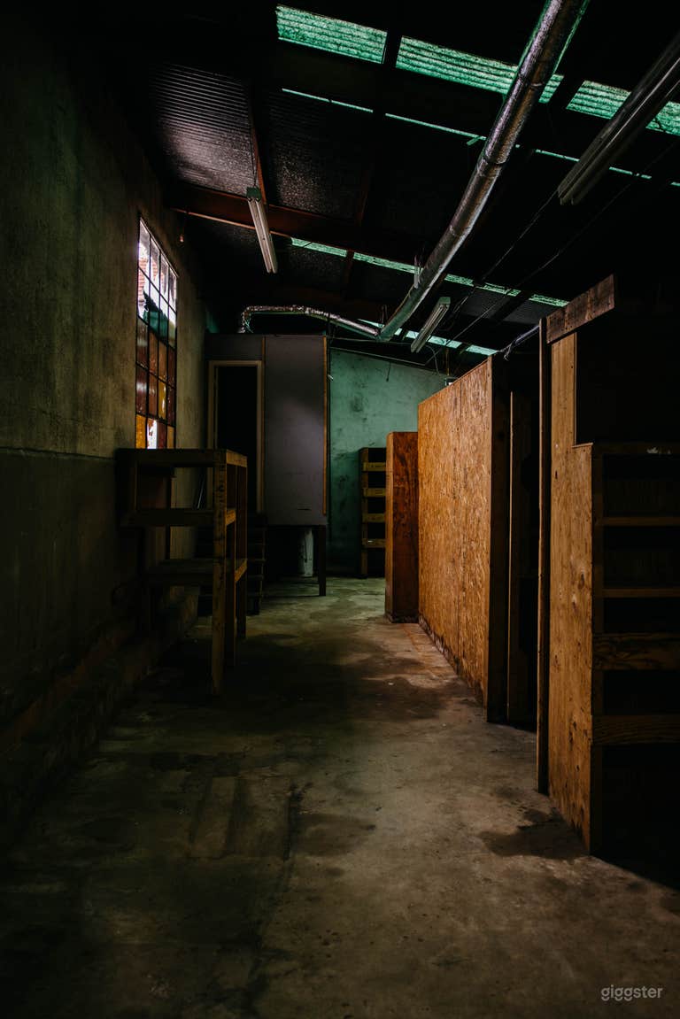  Post-War Industrial Studio Surrounded by Nature 