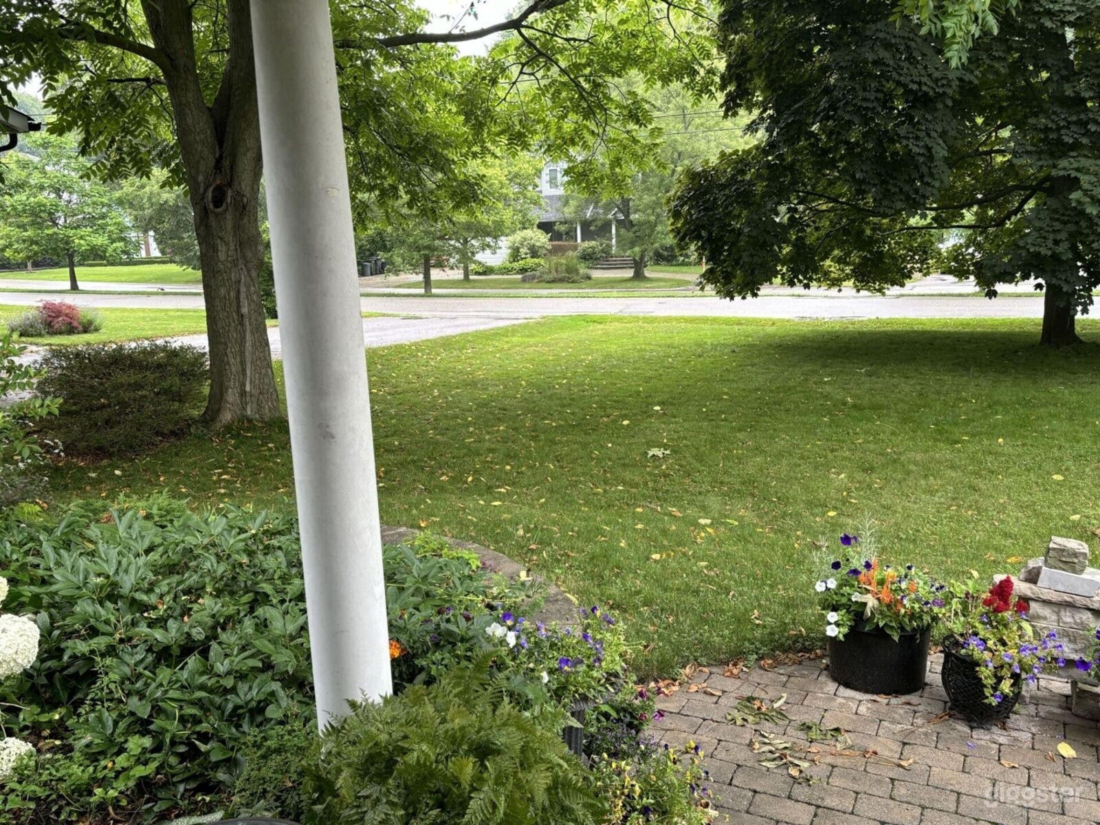 Lush Suburban Backyard Oasis Photo 4