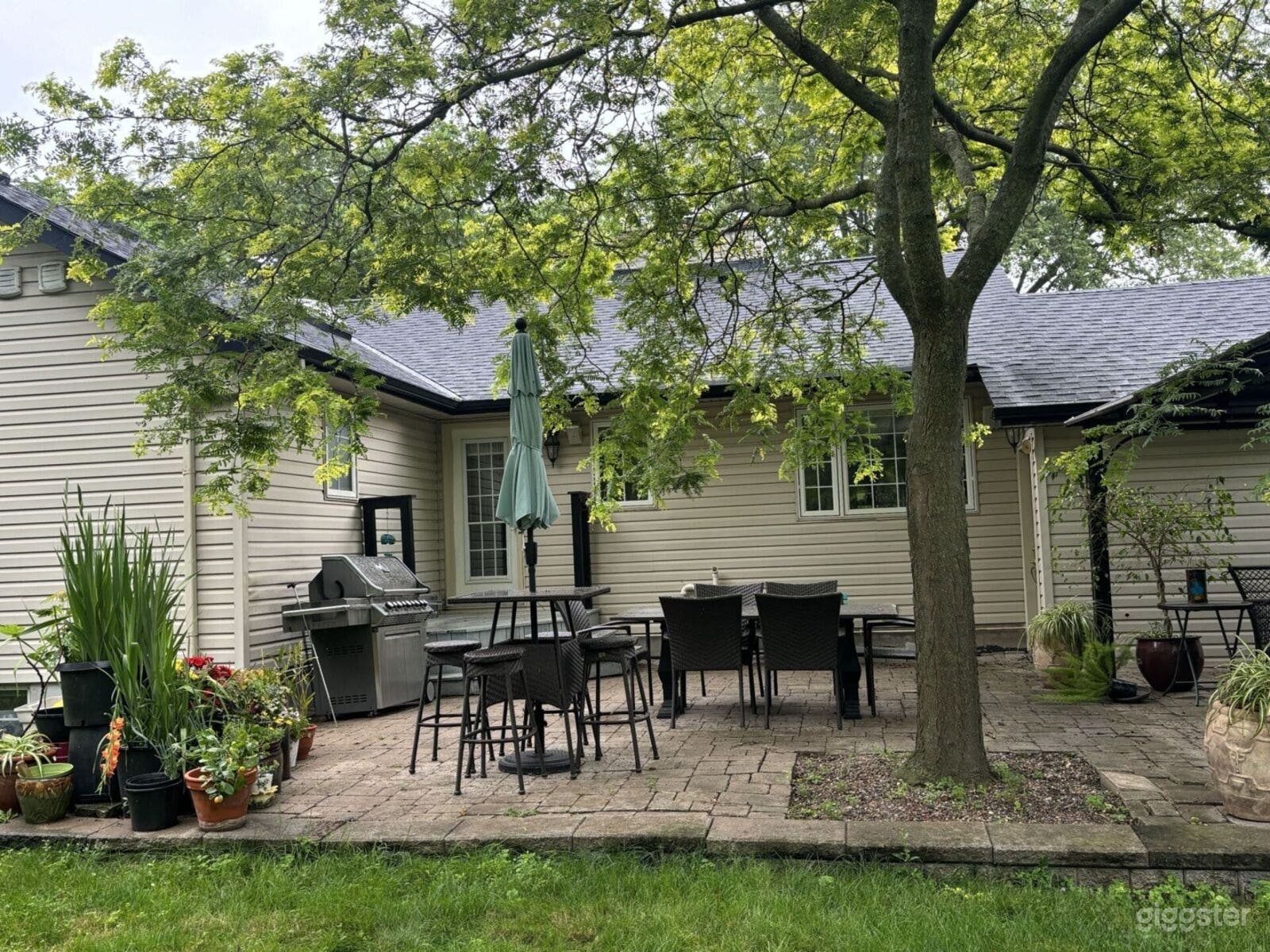 Lush Suburban Backyard Oasis Photo 1