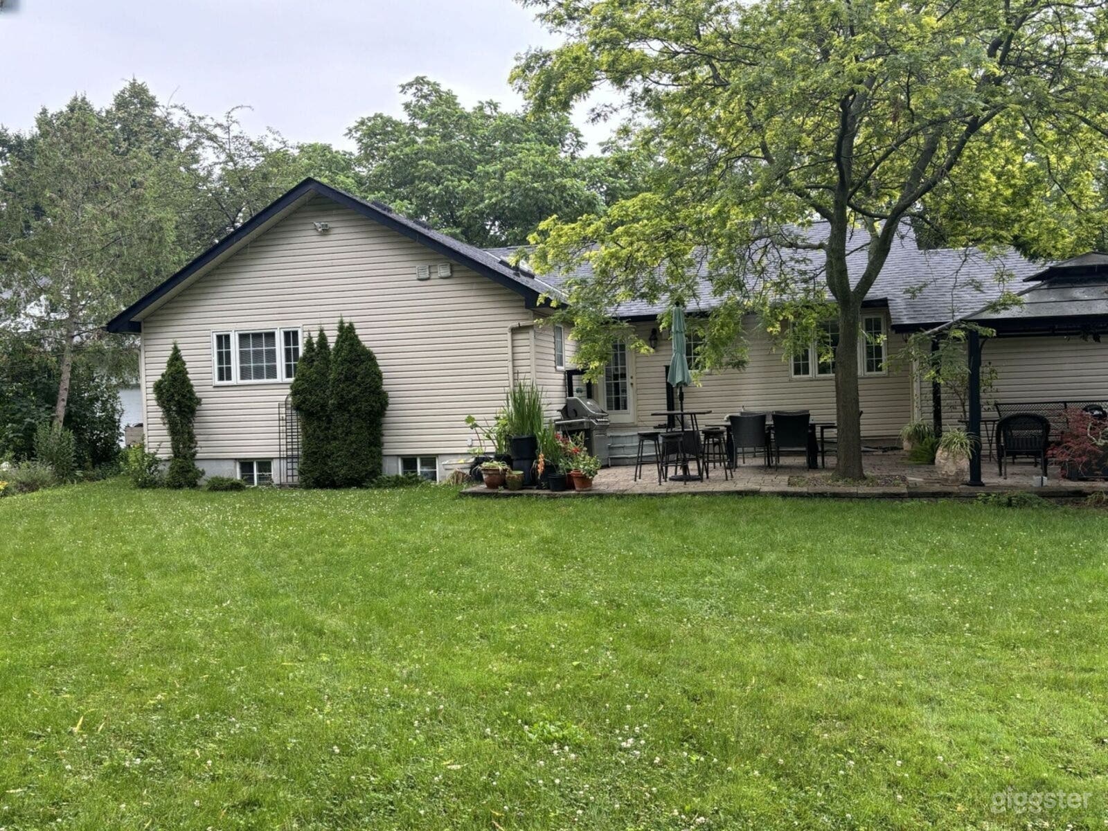 Lush Suburban Backyard Oasis Photo 3