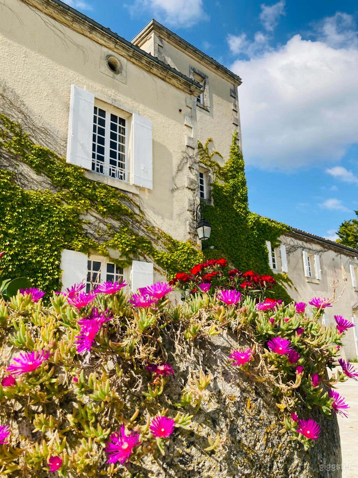 Photo de Interlude bucolique en Charente-Maritime 3