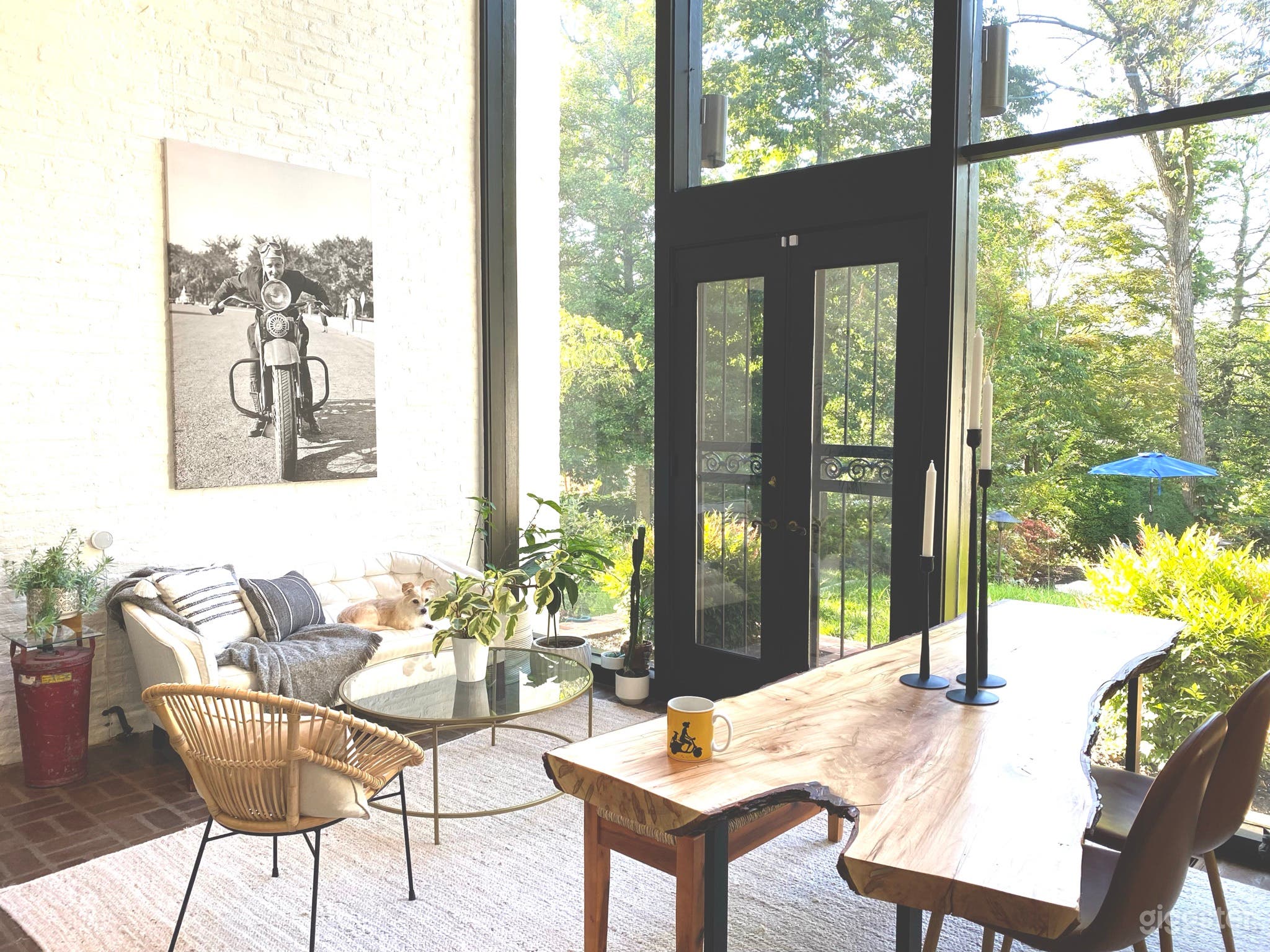 Two story south facing atrium with wall of glass  Photo 2