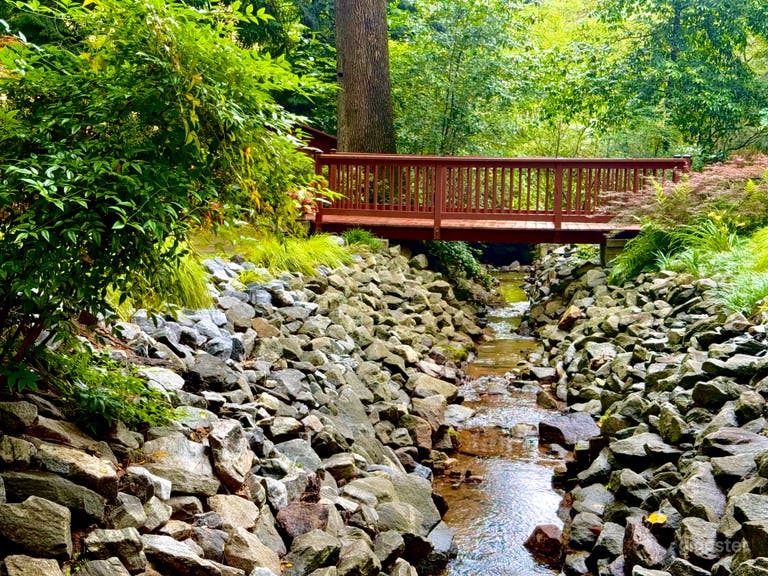  Nature meets narrative. This rustic bridge and flowing stream create cinematic movement and texture for still shoots or video scenes alike. 