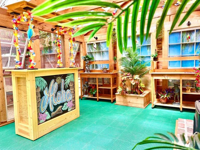  Rich wood tones, soft island lighting, and bold color pops—this indoor tiki set is a ready-made scene for shoots needing a playful, tropical vibe. 