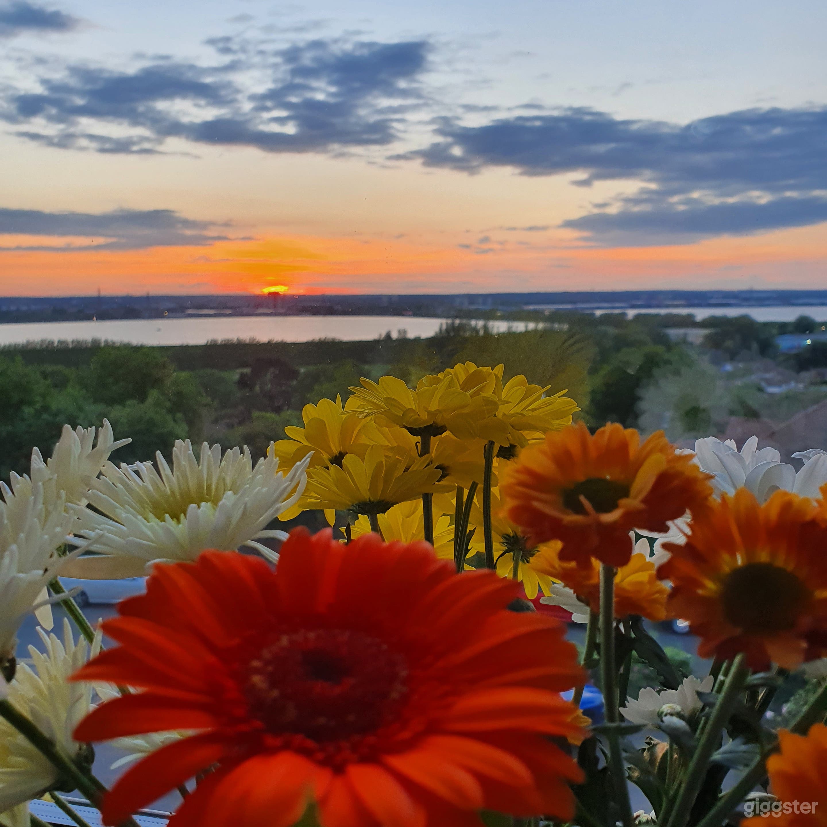 Floral prop used against stunning sunset view from lounge