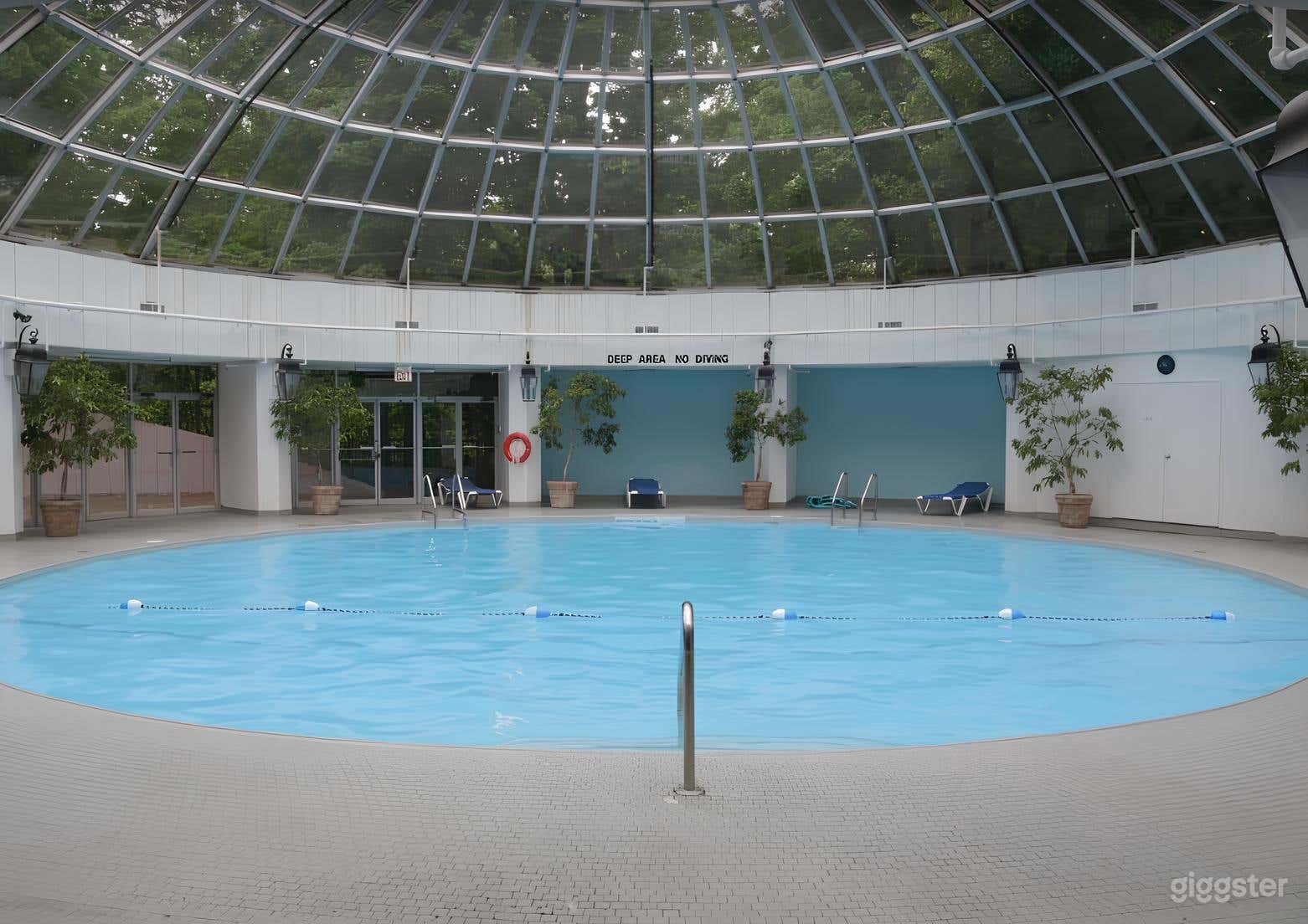 A Beautiful Indoor Glass-Domed Pool Photo 3