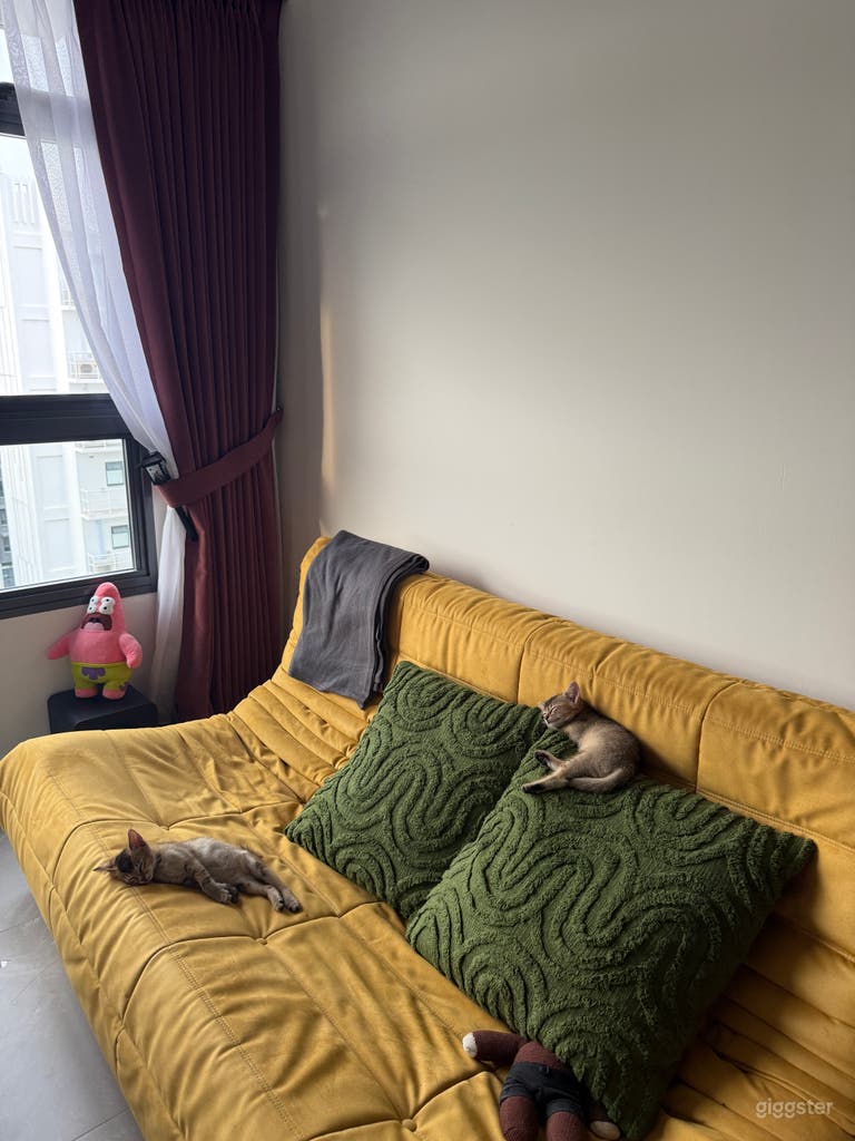  Canberra Vista Mid Century Modern HDB Apartment 