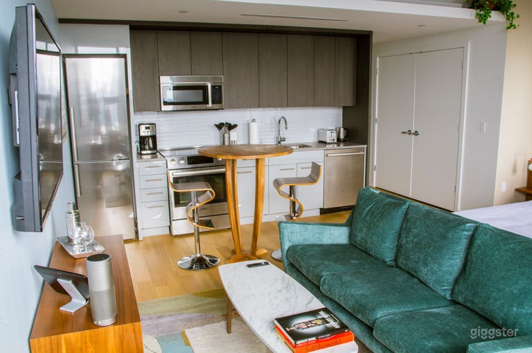  Trendy Philly Penthouse 