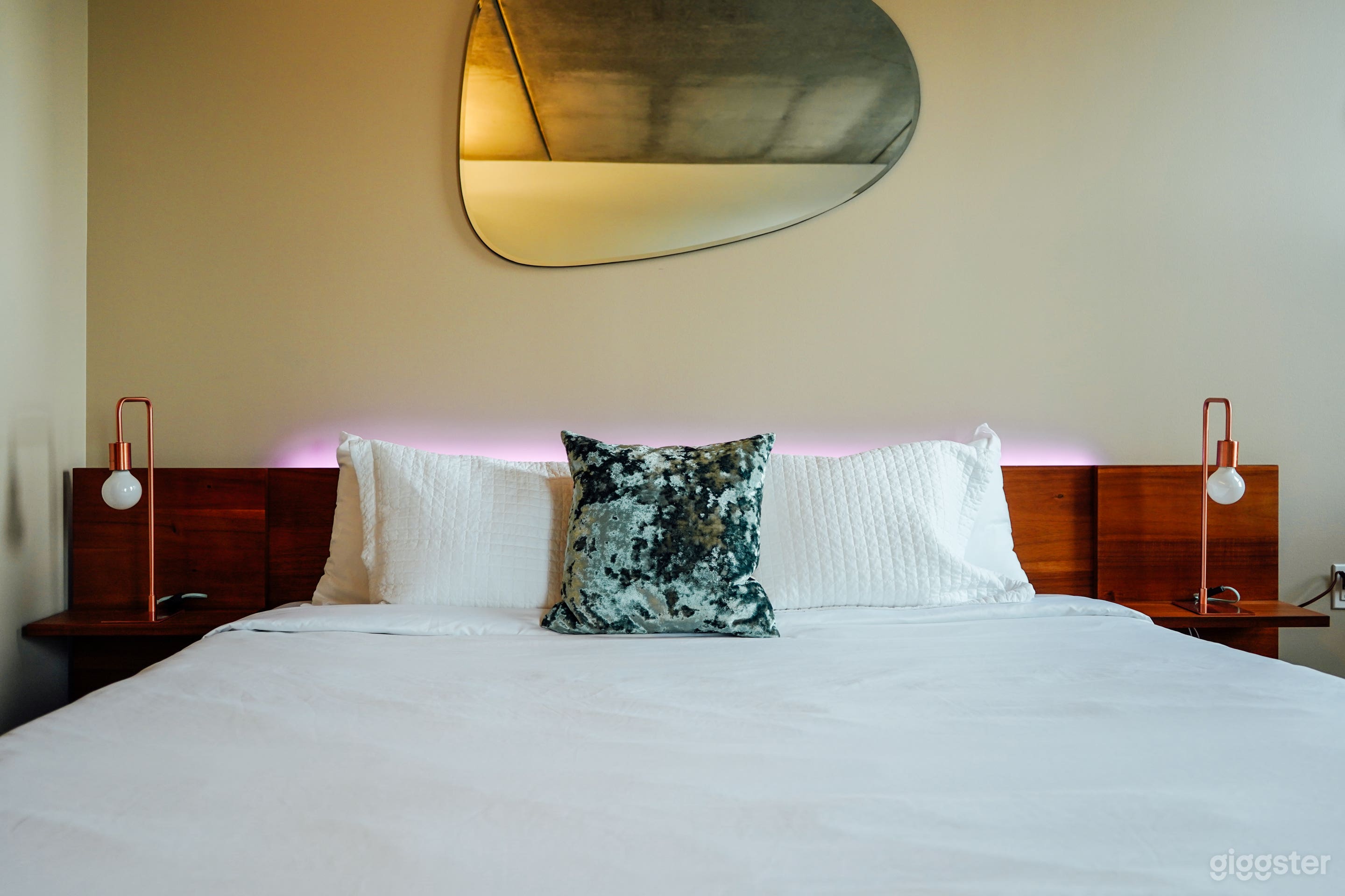 Trendy Philly Penthouse Photo 4