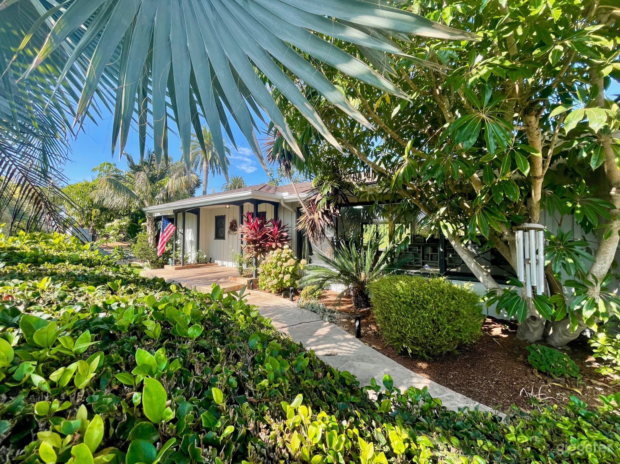 One of a Kind MidCentury Modern Compound Photo 2