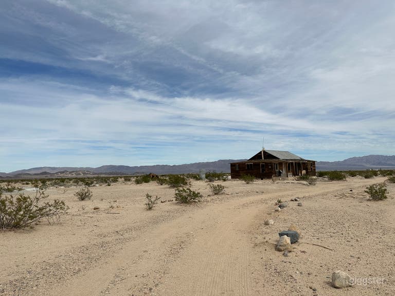  View headed down the driveway. Property has 15 acres ahead and 20 acres back.  